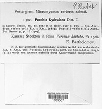 Puccinia sydowiana image